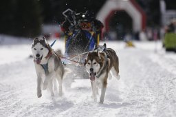 Lenzerheide 2013